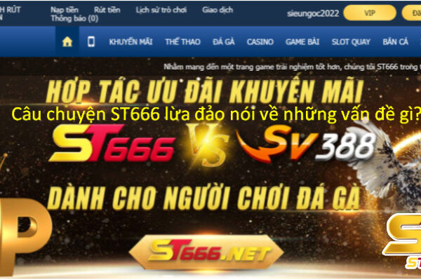 ST666 lừa đảo có thật không? – Giải đáp chi tiết nhất