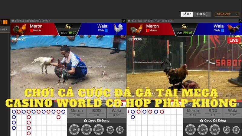 Chơi cá cược đá gà tại mega casino world có hợp pháp không