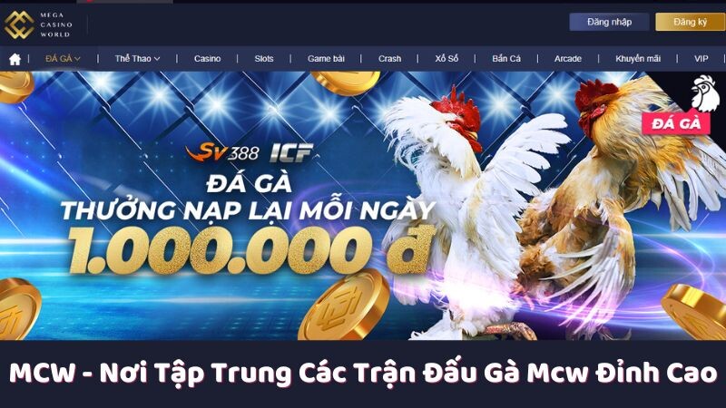 Giới thiệu về MCW và sứ mệnh của nền tảng cá cược đá gà trực tiếp 